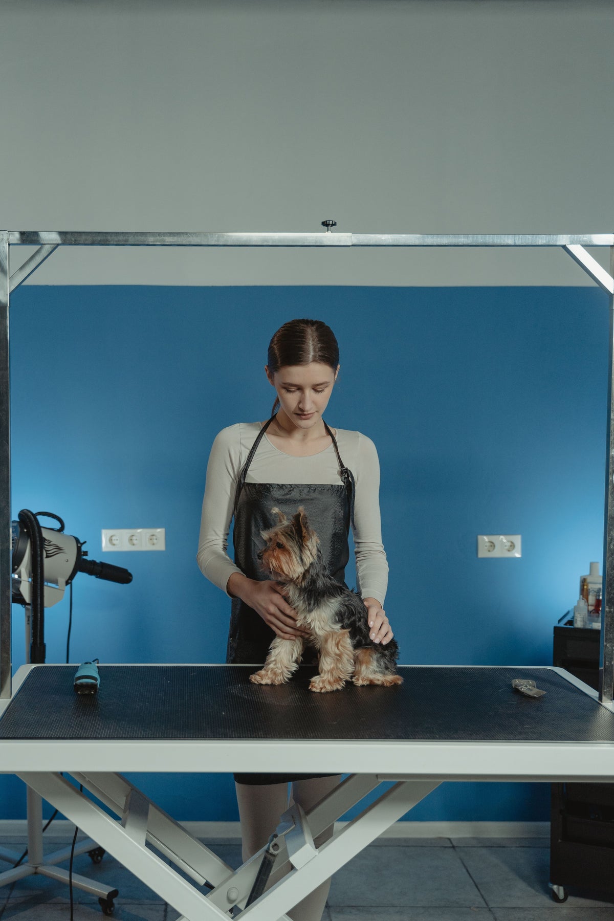 Puppy wordt rustig geborsteld tijdens een eerste vachtverzorging