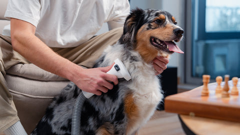 The FurVac