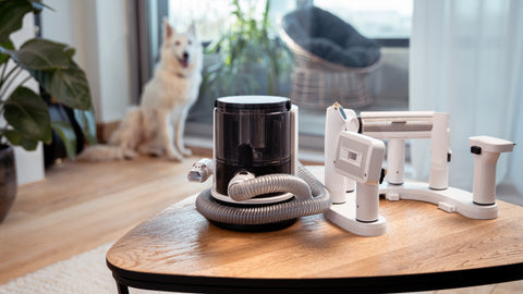 The best pet vacuum
