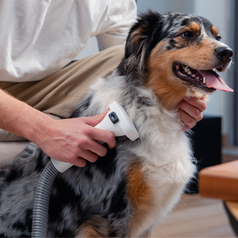 FurVac – 6-in-1 Pet Grooming Vacuum