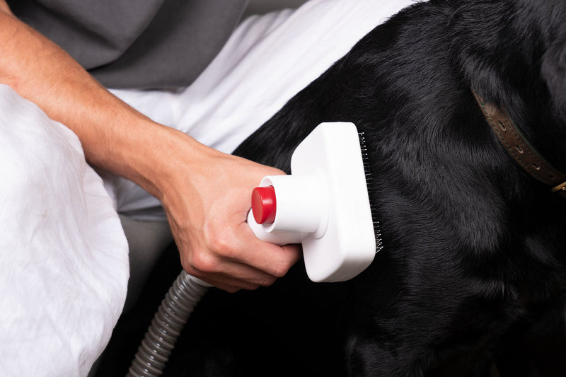 How to Remove Pet Hair - SmartPaw