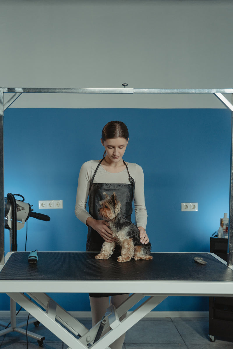 Puppy wordt rustig geborsteld tijdens een eerste vachtverzorging