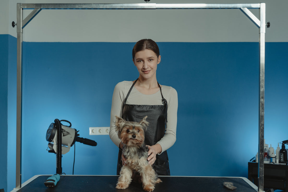 Hond wordt verzorgd en gewassen in een trimsalon