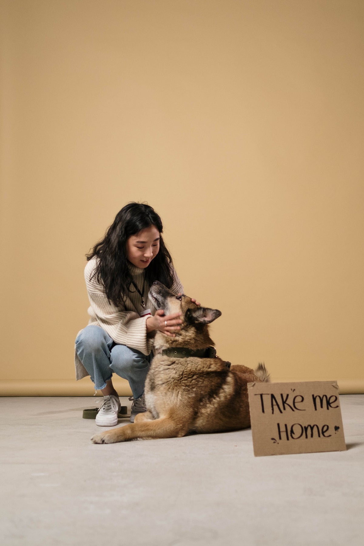 Hond wordt rustig geborsteld