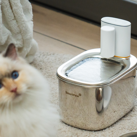 Fresh Water, Happy Pets