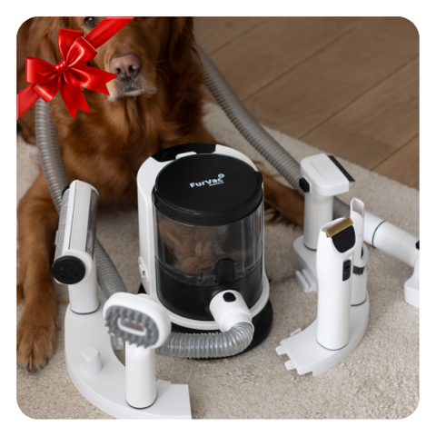FurVac™ – 6-in-1 Huisdierenstofzuiger