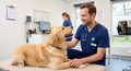 Dr. Thomas Verlinden, DVM