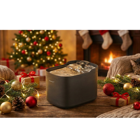 Vers water, blije huisdieren