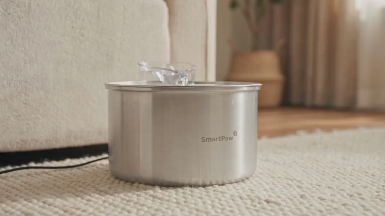 SmartPaw HydroBuddy drinkfontein met kat