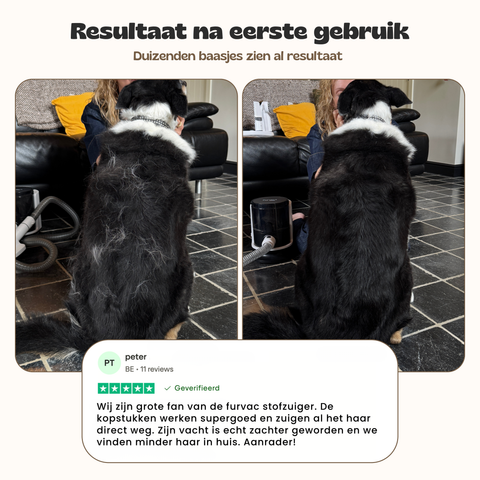 FurVac - Best beoordeelde dierenstofzuiger van 2026